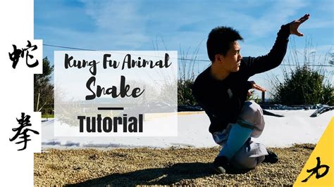 Training Cunidi Majic Snakes: Unlocking their Hidden Abilities